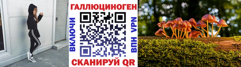 Галлюциногенные грибы мицелий  Нестеровская 