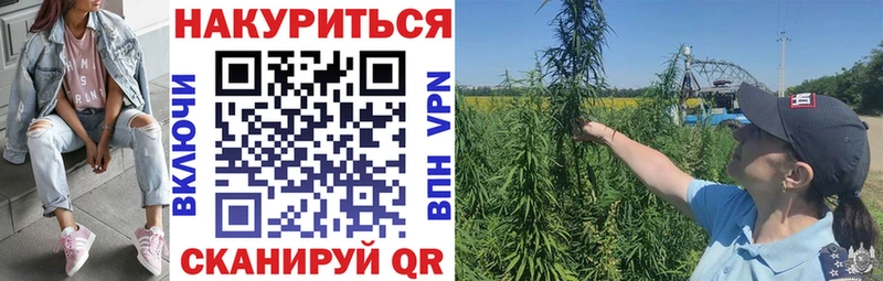 Каннабис индика Нестеровская